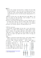 [A+자료] 수영의 역사와 영법에 대해서-6
