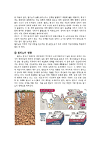[지구환경] 기후변화에 대해서-7