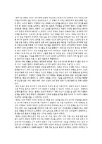 대항해 - 세계 최초의 항해가 정화의 원정배경-7