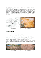 고고학 - 청동기시대 취락에 대해서-4