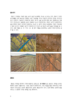 고고학 - 청동기시대 취락에 대해서-8