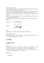 [여가론] 유형별 뉴 스포츠에 관해서-13