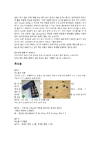 [여가론] 유형별 뉴 스포츠에 관해서-20