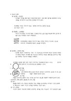 적극적 부모역할훈련[Active Parenting Training ; APT] 프로그램-5