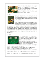 카지노 역사와 미래전망-3
