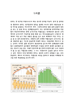 우리나라의 저출산 문제와 그 해결방안-2