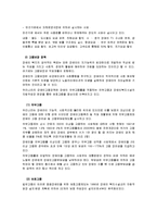 [장애인 복지론] 우리나라의 장애인 복지정책과 문제점, 외국의 사례를 살펴보고 개선방안을 모색-5