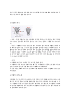 [스포츠] 배드민턴의 역사와 경기규칙-5