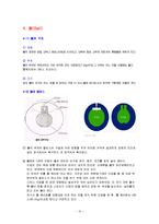 스포츠[a+자료] - 볼링에 대해서-10