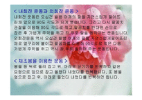 [의학] 오십견[frozen shoulder]에 관해-14