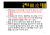 무척추동물 - 극피동물에 대해서-3