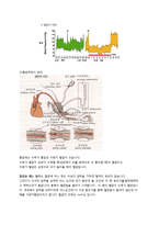 생리학 - 동맥혈압에 대해서-2