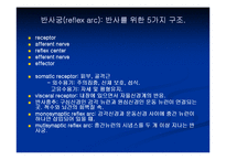 [해부생리] 신경생리-2