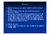 [해부생리] 신경생리-5