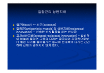 [해부생리] 신경생리-6