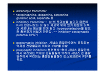[해부생리] 신경생리-8