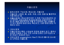 [해부생리] 신경생리-11