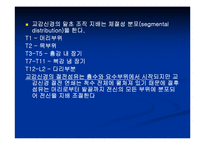 [해부생리] 신경생리-12