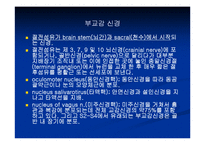 [해부생리] 신경생리-14