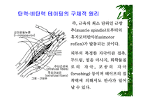 [물리치료] 밸런스 테이핑 요법에 관해-4