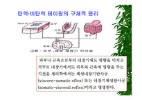[물리치료] 밸런스 테이핑 요법에 관해-5