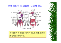 [물리치료] 밸런스 테이핑 요법에 관해-6