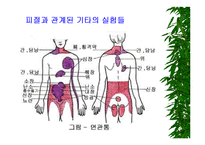 [물리치료] 밸런스 테이핑 요법에 관해-7