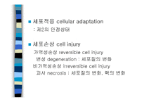 [의학] 세포손상과 적응-3