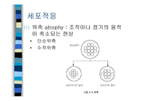 [의학] 세포손상과 적응-4