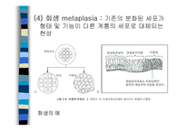 [의학] 세포손상과 적응-9