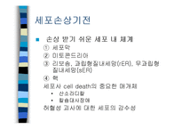 [의학] 세포손상과 적응-11