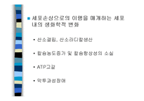 [의학] 세포손상과 적응-12