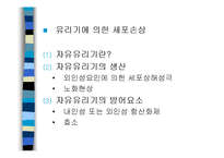[의학] 세포손상과 적응-19