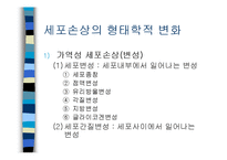 [의학] 세포손상과 적응-20