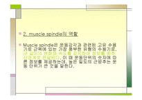 [운동치료학] 골지건과 근방추[Muscle spindle, Golgi tendon organ]-3