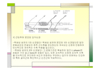 [운동치료학] 골지건과 근방추[Muscle spindle, Golgi tendon organ]-5