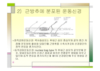 [운동치료학] 골지건과 근방추[Muscle spindle, Golgi tendon organ]-6