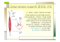 [운동치료학] 골지건과 근방추[Muscle spindle, Golgi tendon organ]-8