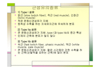 [운동치료학] 골지건과 근방추[Muscle spindle, Golgi tendon organ]-12
