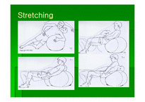 [통증관리 물리치료] Swiss Ball Exercise-8