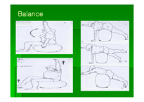 [통증관리 물리치료] Swiss Ball Exercise-12
