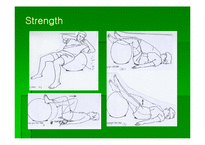 [통증관리 물리치료] Swiss Ball Exercise-14