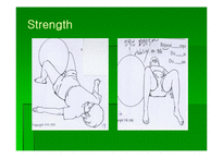 [통증관리 물리치료] Swiss Ball Exercise-15