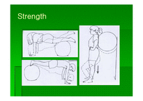 [통증관리 물리치료] Swiss Ball Exercise-16