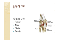 [의학] 인공 슬관절 전치환술 [Total knee replacement]-4