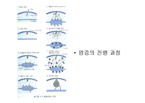 [의학] 염증과 수복-8