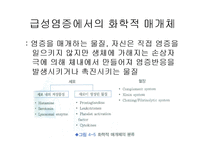 [의학] 염증과 수복-9