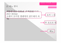 [동물생리학] 이뇨작용과 커피와의 관계-6