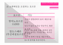 [동물생리학] 이뇨작용과 커피와의 관계-7