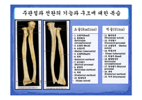 [운동치료학] 주관절과 전완복합체-3